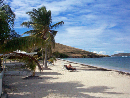 Reef Beach on St. Croix with Buck Island in the background.