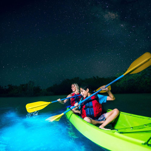 bioluminescence kayak tour st croix