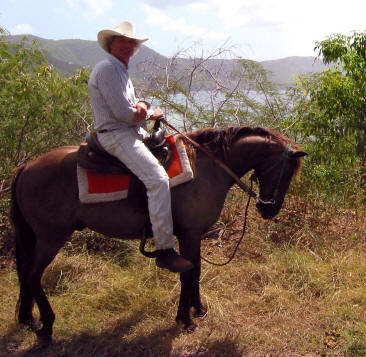 Stephen O'Dea of Equus Horseback Riding on St. Croix