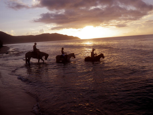 Horseback riding in the water at sunset.