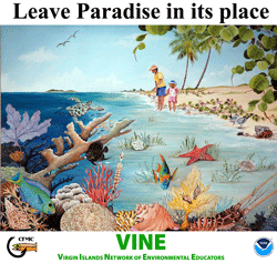 Virgin Islands Network of Environmental Educators