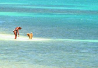 A woman in aquamarine water with a Golden Retriever.