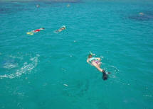 Snorkeling the waters of St. Croix