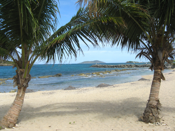 A view of Buck Island from a beach on St. Croix.